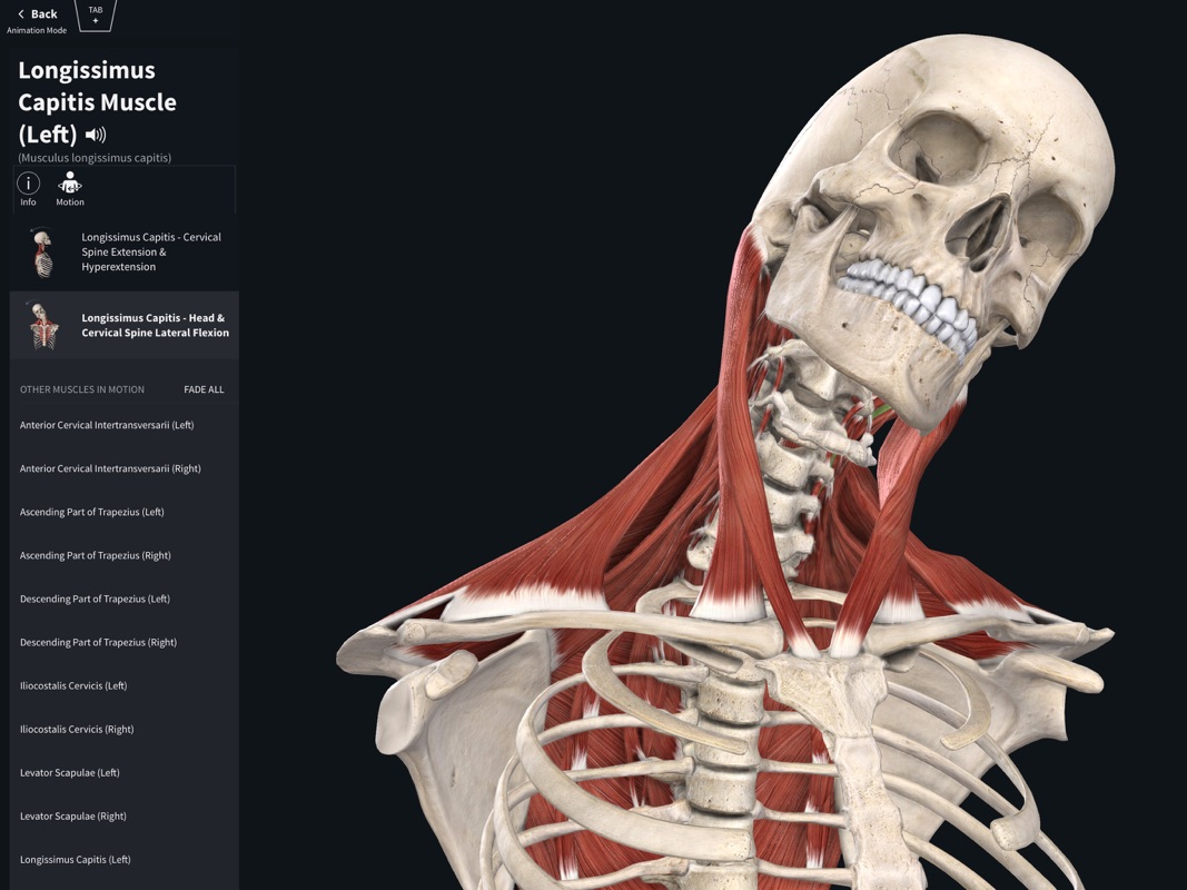 A.d.a.m interactive anatomy macos download for windows 10